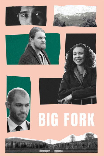 Poster for Big Fork
