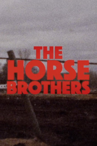 Poster for Horse Brothers