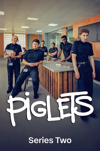 The poster for Series 2