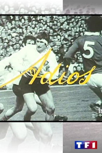 Poster for Adios
