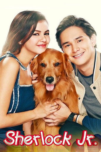 The poster for Season 1