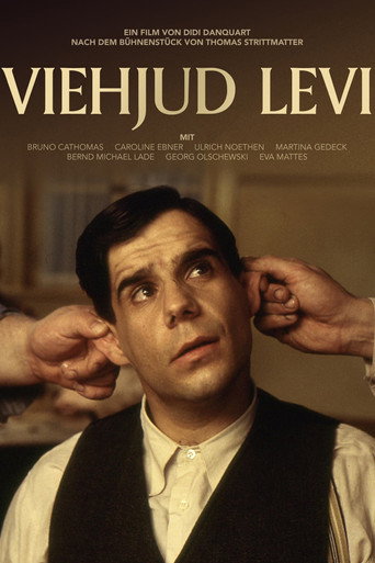 Poster for Jew-boy Levi