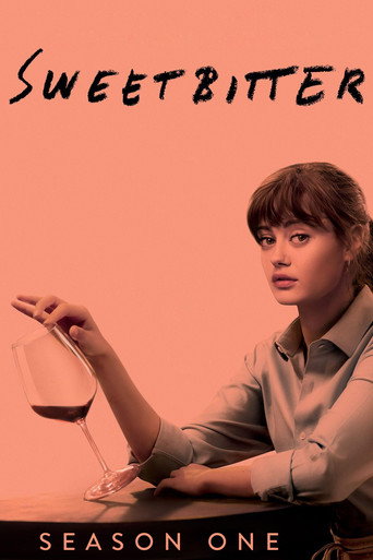 The poster for Season 1