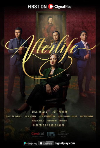 Poster for Afterlife