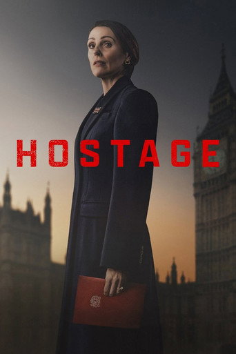 The poster for Limited Series