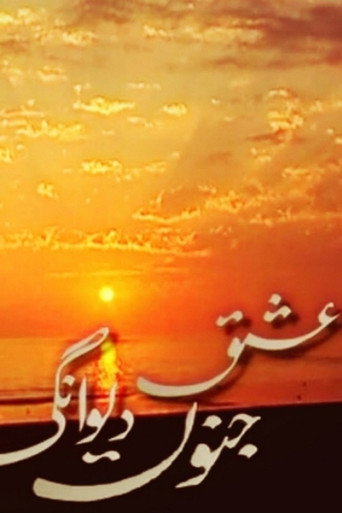 Poster for Ishq Junoon Deewangi