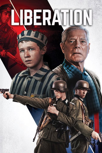 Poster for The Optimist