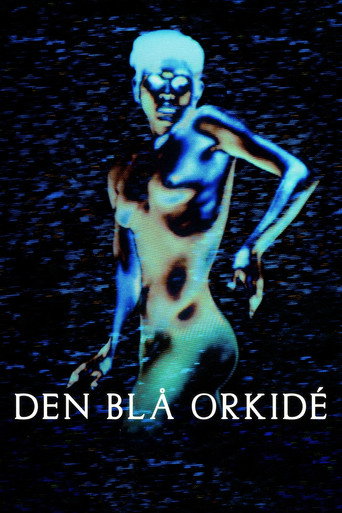 Poster for The Blue Orchid