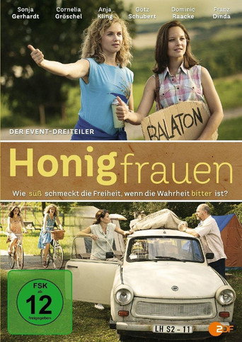 The poster for Mini-series