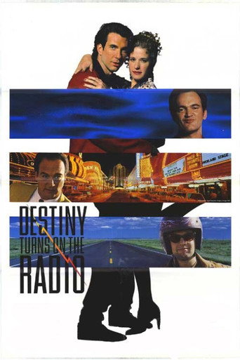 Poster for Destiny Turns on the Radio