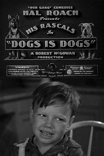 Poster for Dogs Is Dogs