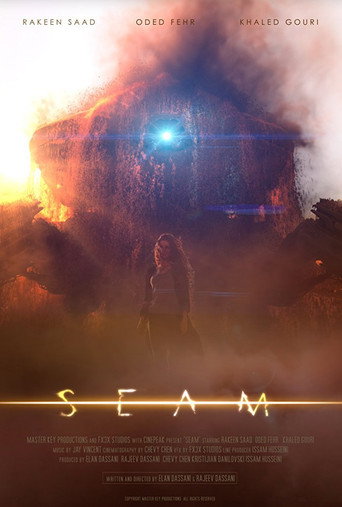 Poster for Seam