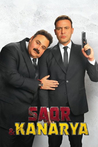 Poster for Falcon and canary