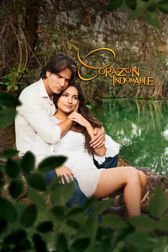 The poster for Season 1
