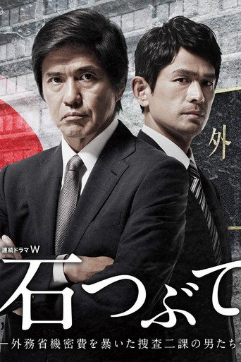 Poster for Throwing Stones: Cops Against the Government