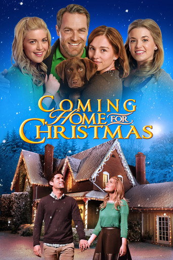 Poster for Coming Home for Christmas