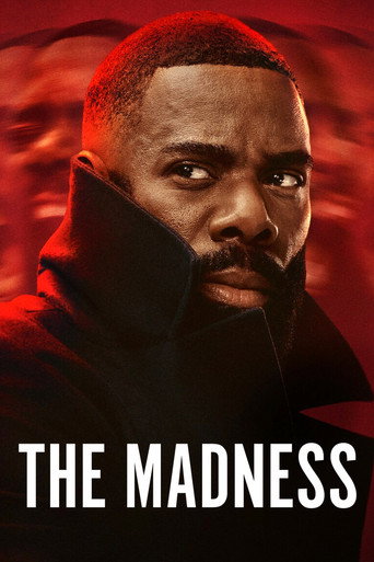 Poster for The Madness
