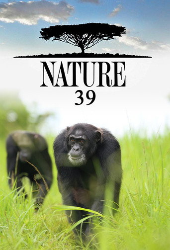The poster for Season 39