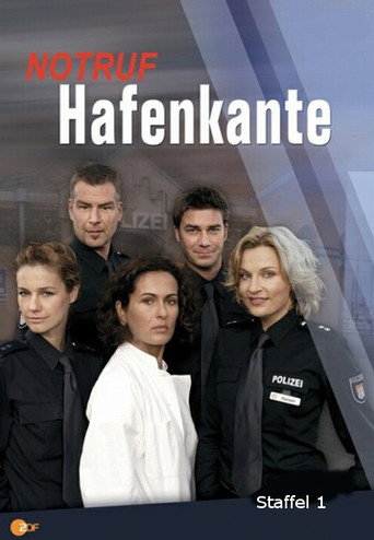The poster for Season 1