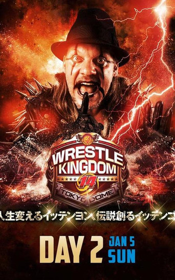 Poster for NJPW Wrestle Kingdom 14: Night 2