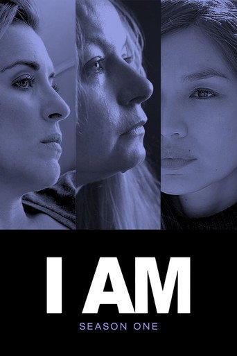 The poster for Series 1