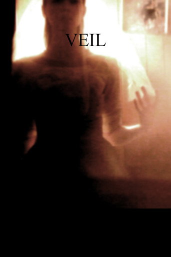 Poster for Veil