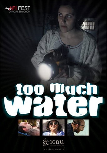 Poster for Too Much Water