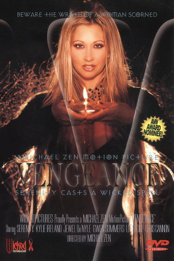 Poster for Vengeance