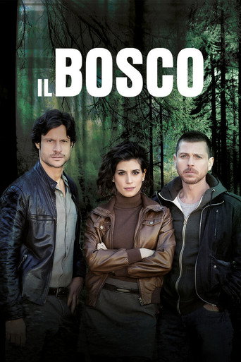 Poster for Il Bosco