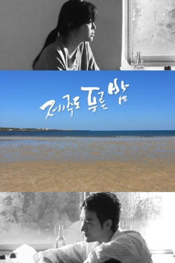 Poster for Drama City: Blue Skies of Jeju Island