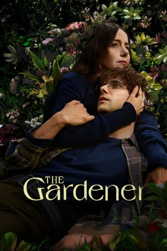 The poster for Limited Series