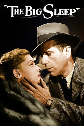 Poster for The Big Sleep