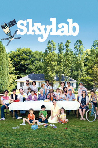 Poster for Skylab