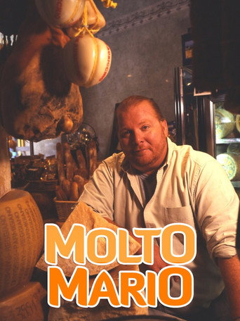 Poster for Molto Mario