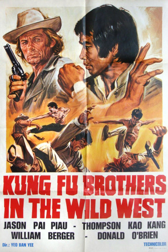 Poster for Kung Fu Brothers in the Wild West