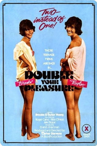 Poster for Double Your Pleasure