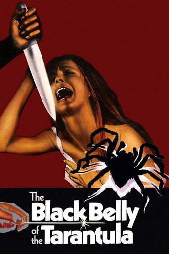 Poster for The Black Belly of the Tarantula