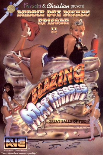 Poster for Debbie Duz Dishes 2: Blazing Mattresses