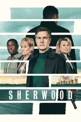 The poster for Series 2