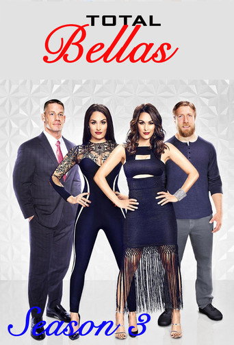 The poster for Season 3