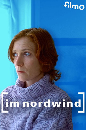 Poster for Im Nordwind