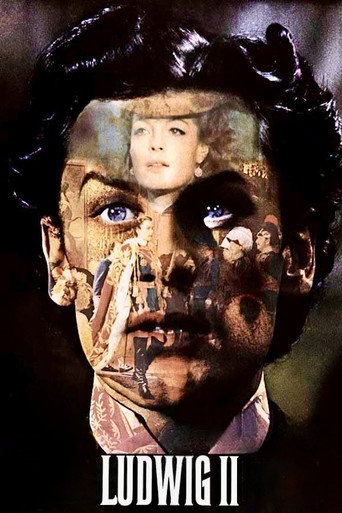 Poster for Ludwig