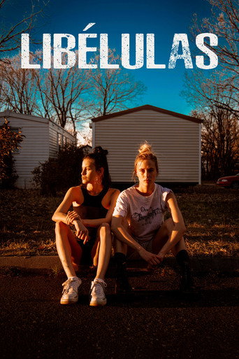 Poster for Dragonflies