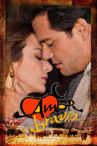 Poster for Valiant Love