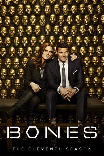 The poster for Season 11