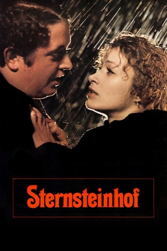 Poster for The Sternstein Manor