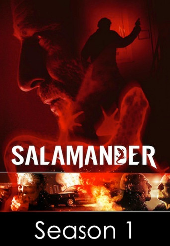 The poster for Season 1