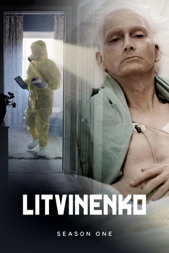 The poster for Miniseries
