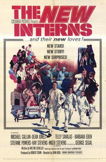 Poster for The New Interns