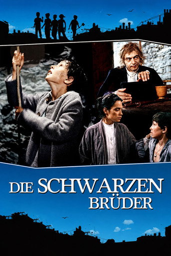 Poster for Die schwarzen Brüder